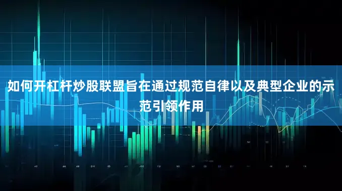 如何开杠杆炒股联盟旨在通过规范自律以及典型企业的示范引领作用