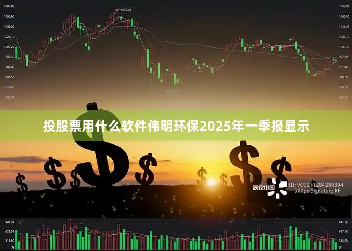 投股票用什么软件伟明环保2025年一季报显示