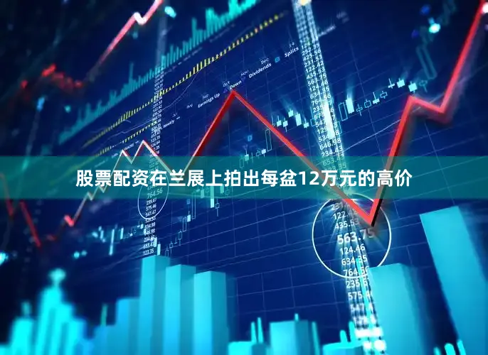 股票配资在兰展上拍出每盆12万元的高价