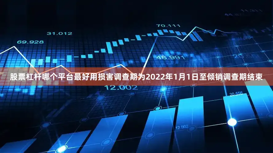 股票杠杆哪个平台最好用损害调查期为2022年1月1日至倾销调查期结束